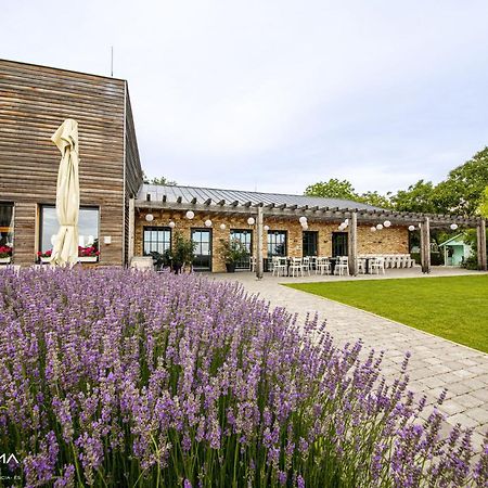 Bed and Breakfast Panoráma Birtok - Wellness Panzió, Konferencia és Rendezvényközpont Győrújbarát Exterior foto